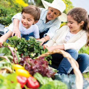 grandmother gardening with grandkids